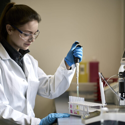 A scientist using a pipette to pour liquid into three test tubes.